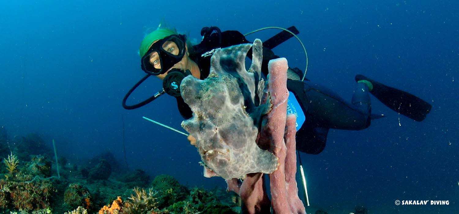 wide angle Photo and video diving courses in Nosy Be